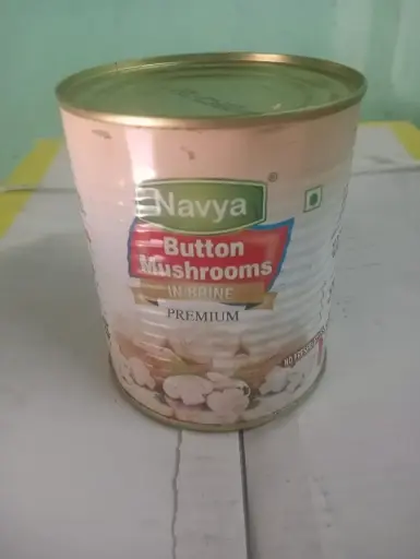 Premium quality button mushroom pack of 24(HR120)